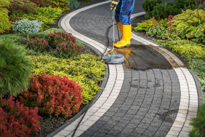 Paver Walkway Cleaning
