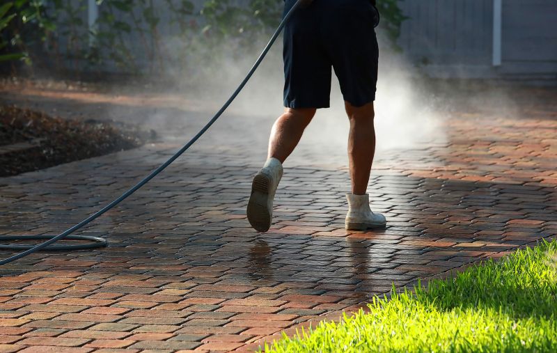 Paver Walkway Cleaning detail